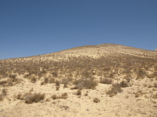 Fototapeta na wymiar Bei Los Gorriones auf Fuerteventura