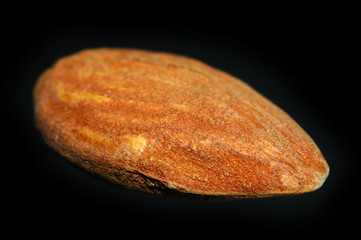 Tasty almond isolated on black - extreme macro