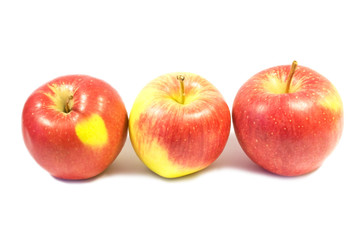 apples on white background 6