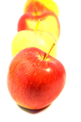 apples on white background 3