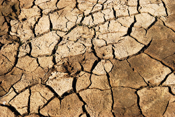ground