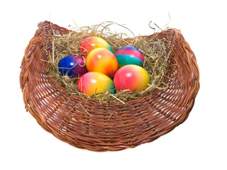 Colorful Easter Eggs in a Bird,  in the nest isolated