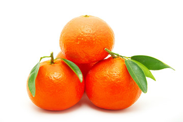 tangerine