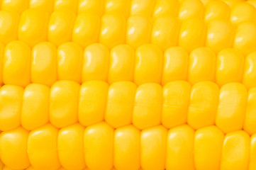 Extreme close up of yellow corn cobs