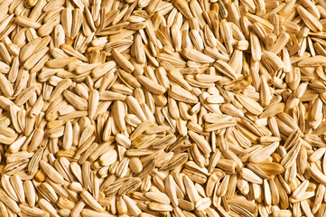 Lots of sunflower seeds arranged as background