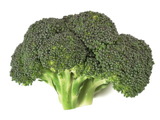 Broccoli on white.