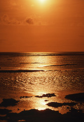 Obraz premium umi kagayaku