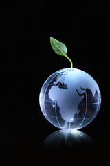 Glassy globe with real green leaf growing from north pole