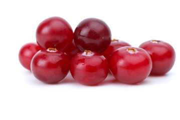 Close-up shot of few cranberries