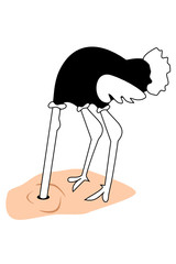A ostrich with its head buried in the sand