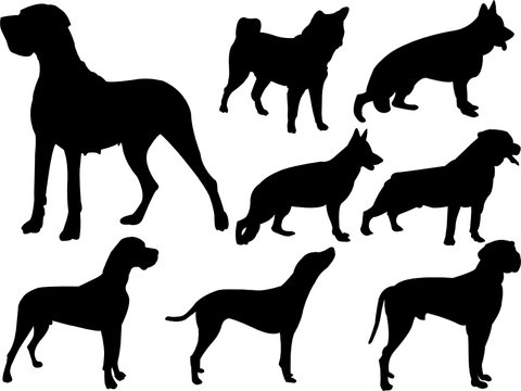 dogs collection silhouette - vector