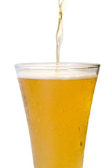Glass of beer close-up
