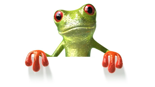 Grenouille avec un panneau