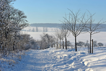 Weg nach Niedergrunstedt II