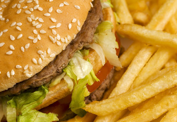 burger and french fries close-up