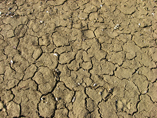 waterless soil