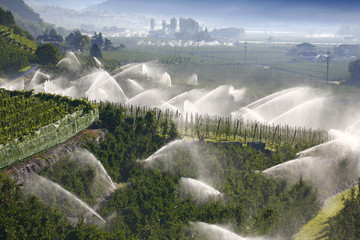 Bewässerung Apfelfelder in Südtirol