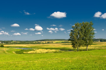 rural landscape with two trees