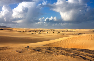 Fototapeta na wymiar sandy dunes in sahara desert