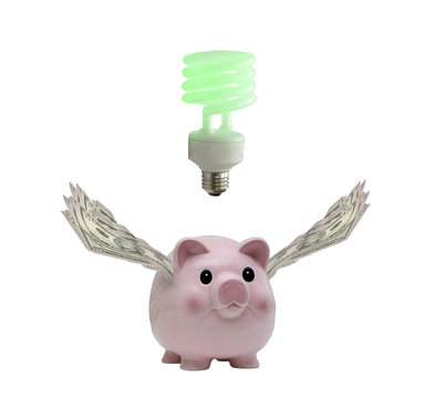 Pig with currency wings has idea