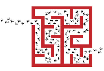 Ant Infestation Pest Problem Maze Puzzle