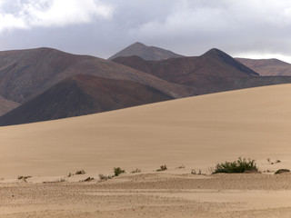Fototapeta na wymiar Berge hinter der Sandwüste