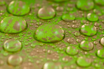 Drops of water