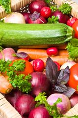 Assortment of fresh vegetables