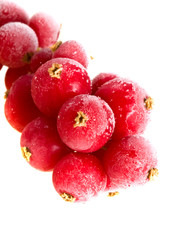 fruit  frozen in ice