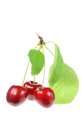 Three cherries with leaves.