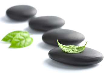 zen stones with leaves isolated. spa background