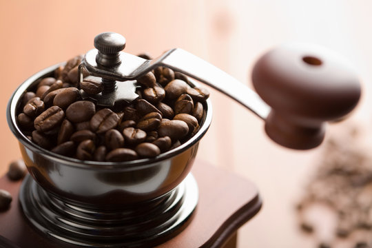 roasted coffee beans in coffee gringer
