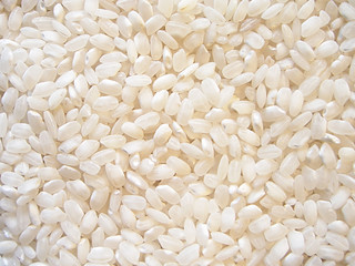White Rice.