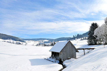 Schwarzwald im Schnee