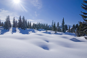 Winter in den Bergen