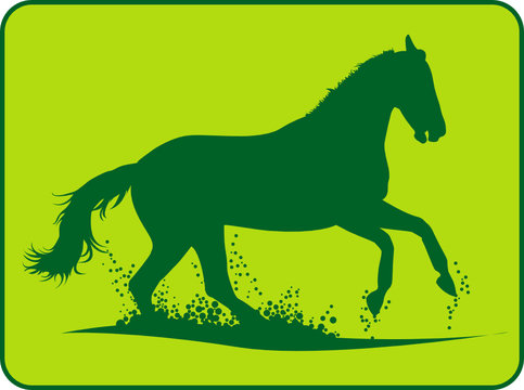 Pferd Galopp Green