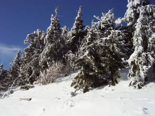 Les Alpes