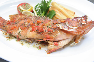 fried grouper fish