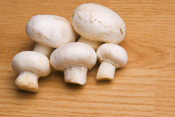 Mushroom