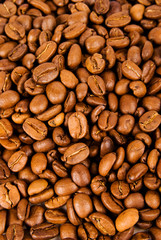 Macro close-up of coffee beans