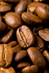 Close-up of coffee beans