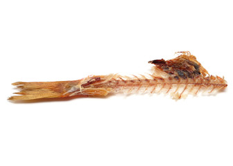 fish tail
