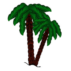 Isolated Double Palmtrees