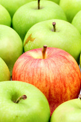 red apple in green apples