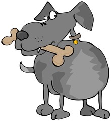 Dog With A Bone