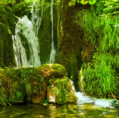 Panele Szklane  Waterfall in the forest