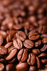 Coffee bean