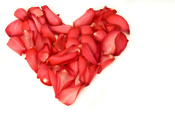 heart made of rose petals on white background