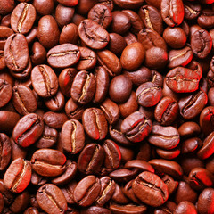 Coffee bean