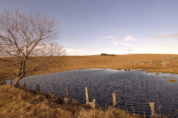 Lac sur le plateau de l'Aubrac